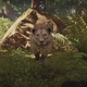 Image for article titled The Dangerous Animals I've Pet In Far Cry Primal